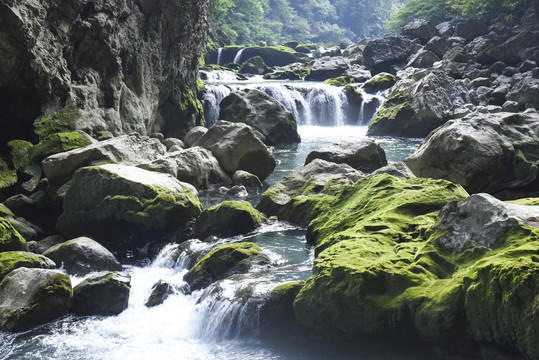 小七孔溪流苔藓