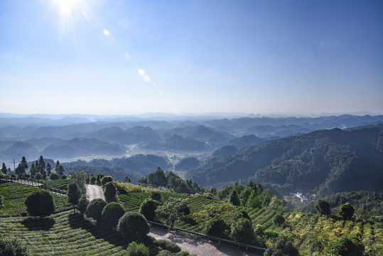 中国茶海景区