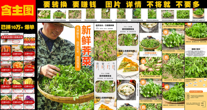 新鮮薺菜詳情