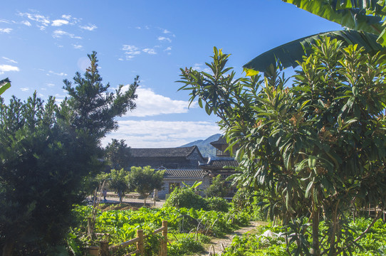 云水谣田地风景