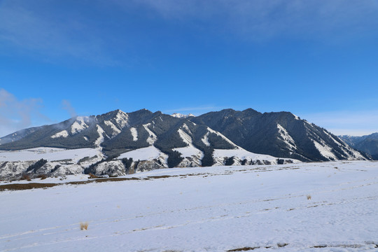 天山白雪