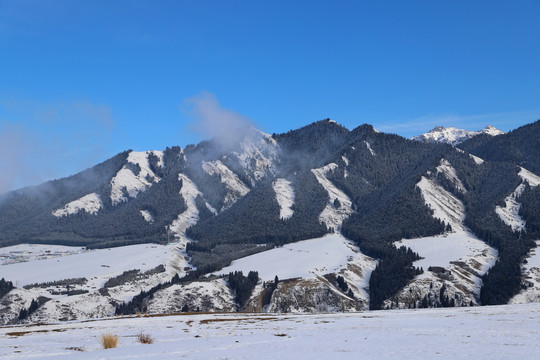 天山白雪