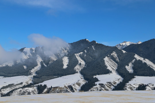 天山白雪