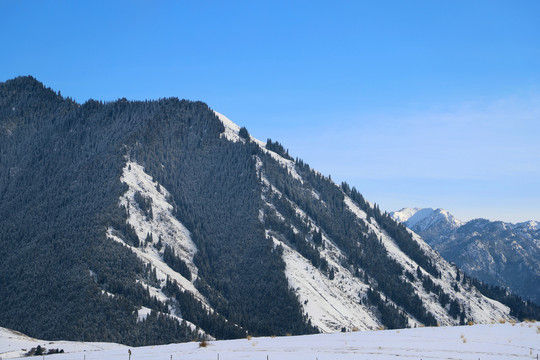 天山雪景