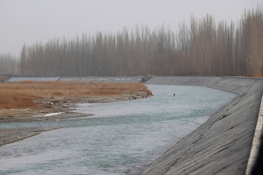 湿地生态美景