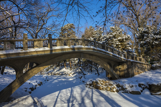 雪景