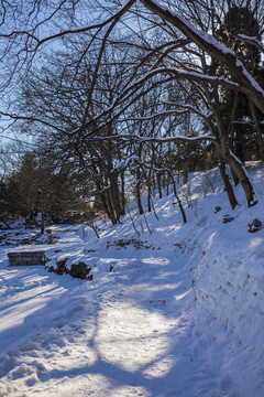 雪景