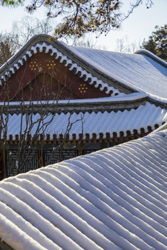 雪景