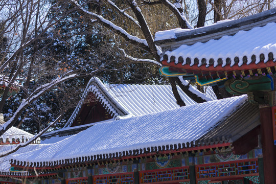 雪景