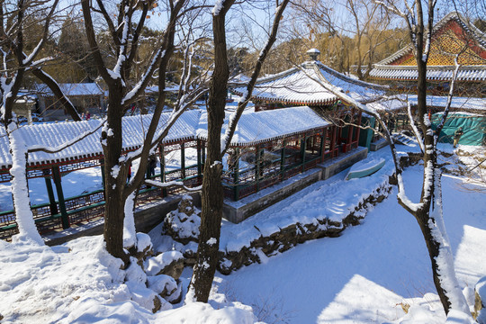 雪景