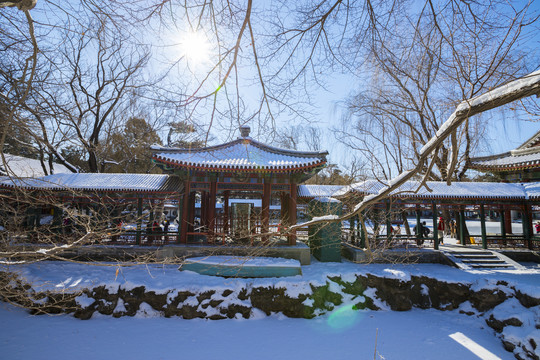 雪景