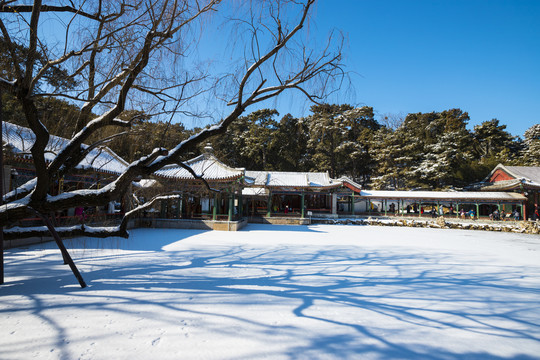 雪景