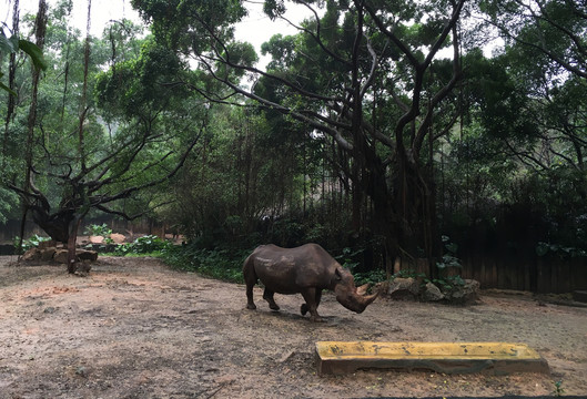 广州长隆