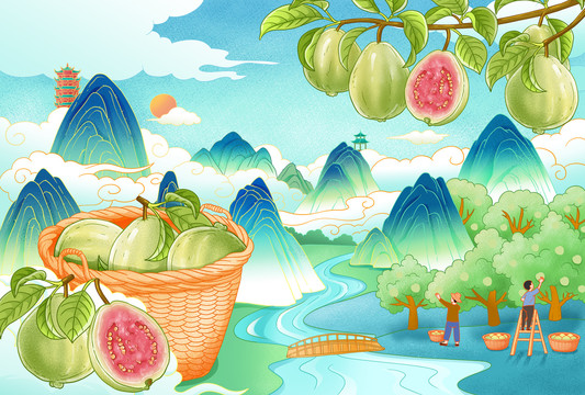 番石榴插畫