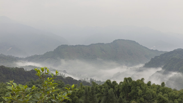 云雾缭绕高山沟壑茶山风光