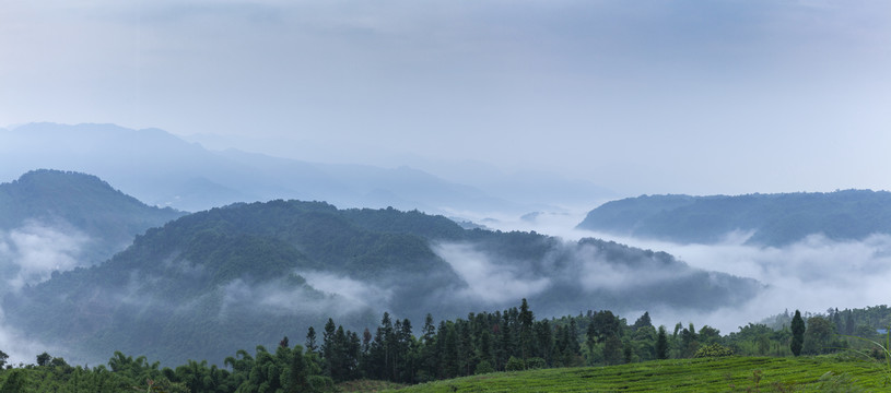 云雾缭绕高山沟壑茶山风光