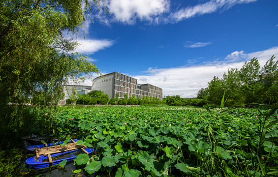 南京大学