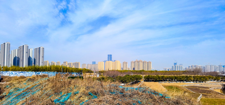 城市公园风景