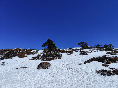 轿子雪山