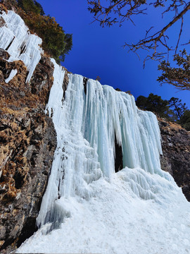 轿子雪山