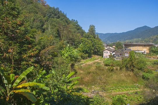 璞山村田园风情