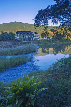 乡村小溪两岸风光