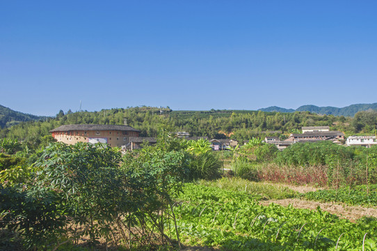 坎下村田园风景