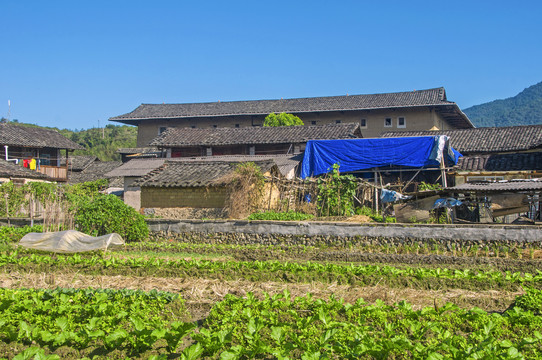 农田房屋乡村景