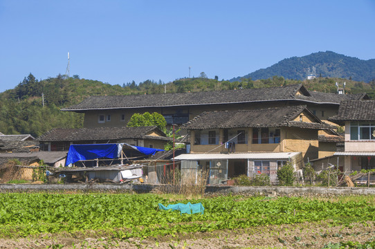 坎下村土楼乡村景色