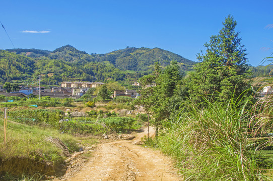 乡村土路风景