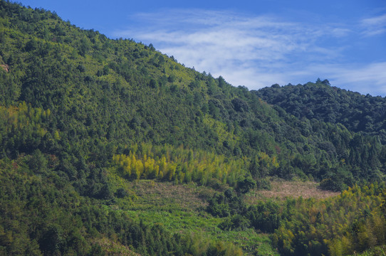 南靖大山风光