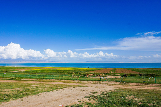 青海湖风景