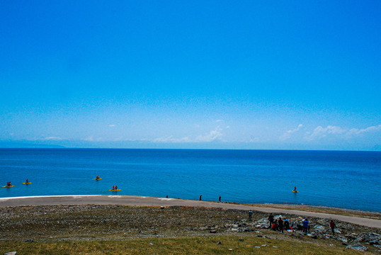 青海湖鸟岛