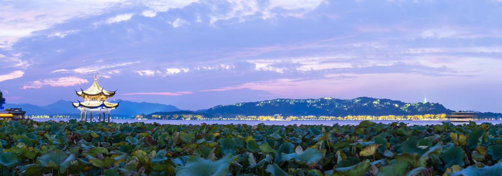 杭州西湖夜景全景图