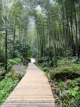 自然风景区步道