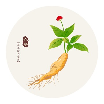 人參