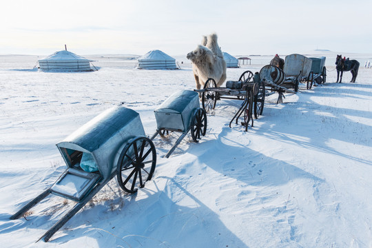 冬季雪原牧场蒙古包勒勒车