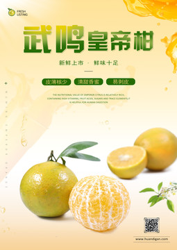 皇帝柑海報