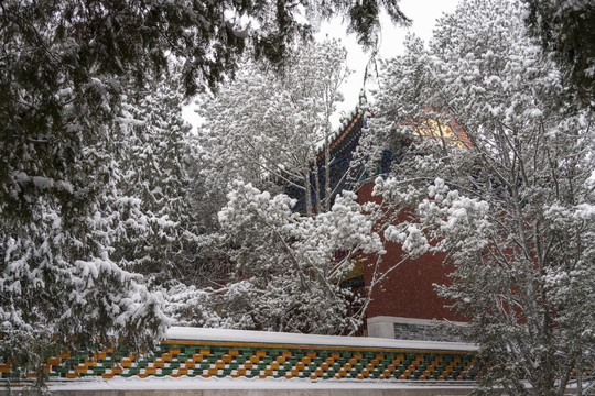 颐和园雪景