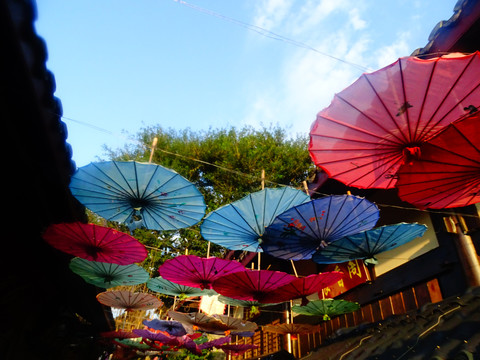 花伞天空