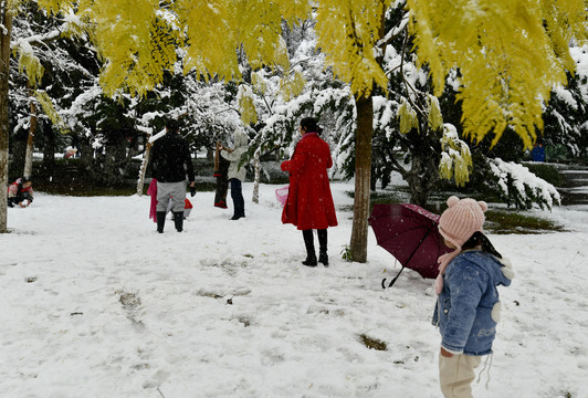 赏雪