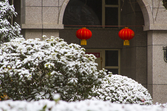 住宅区雪景