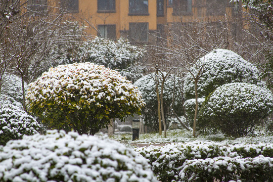 住宅区雪景