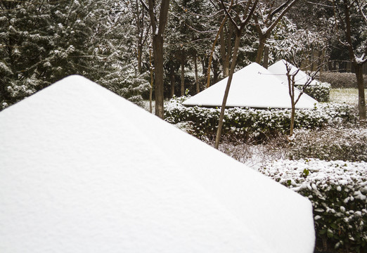 雪景