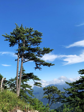 大别山白马尖