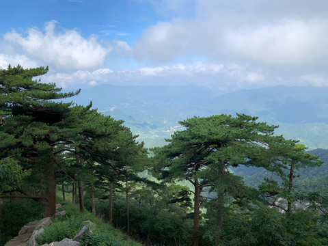 大别山白马尖