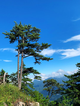 大别山白马尖