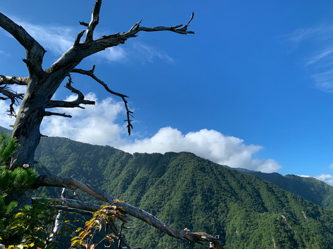 大别山白马尖