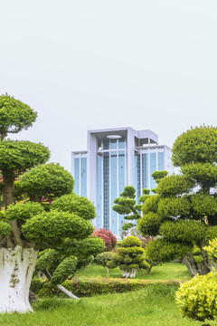 湖北宜昌市河心公园美景