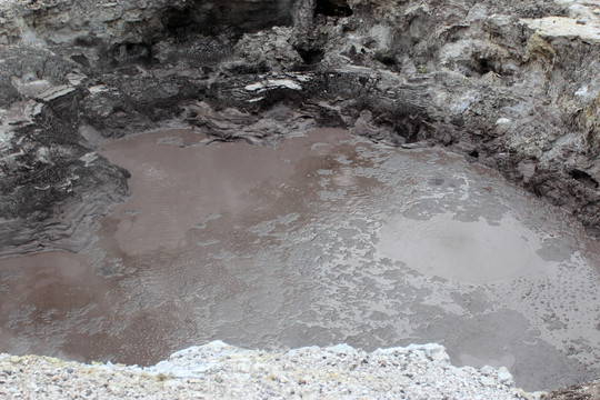 罗托鲁阿泥火山